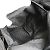 Borsa Tote Gucci Bamboo Marrone Nero - vista 7