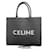 Céline Celine Triomphe Horizontal Cover Handbag Black Leather Plastic  ref.1515323