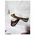 Bailarinas Gucci GG Canvas Web Bow Beige/Marrón Talla 36,5 Castaño - vista 13