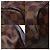 LOUIS VUITTON Speedy Bag in Brown Canvas - 102021 - view 9