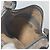 Fendi Selleria Leder Schultertasche Beige - Ansicht 11