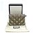 Gucci GG Bee Compact Bi-Fold Wallet Beige - view 8