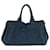 Prada Canapa Blue Cloth  ref.1557947