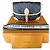 Neverfull Borsa Louis Vuitton Diane marrone in pelle