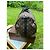 Abbesses Louis Vuitton Borsa Keepall Bandoulière 55 Macassar Marrone scuro - vista 4