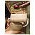 Borsa Petit Noé Monogram Rayures Edizione Limitata Louis Vuitton Marrone/Crema - vista 15