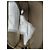 Borsa a Spalla Reporter Louis Vuitton Marrone/Beige - vista 2