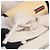 GUCCI - Sneakers stringate Gucci Screener in pelle nera (taglia 35,5) Nero - vista 6