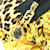 Zaino con stampa leopardata Versace Nero Giallo  - vista 8