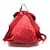 Double Prada Plate Doppelpack-Rucksack Rot  - Ansicht 2