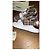 Sneakers Burberry New Regis Marrone Beige Cotone - vista 4