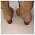Botas altas Polo Ralph Lauren Beige - vista 8