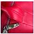 Borsa Rockie rossa Alexander Wang Rosso Silver hardware - vista 10