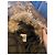 Chaqueta Moncler de Plumas Marrón con Piel Castaño - vista 11