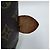 Borsa Keepall Boston Monogram Louis Vuitton Marrone - vista 15