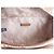 Michael Kors Borsa a tracolla Maisie di Mickael Kors Marrone - vista 8