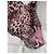 Hermès Sciarpa Quadrata Panthera Pardus Cashmere 140 Robert Dallet Multicolore - vista 8