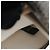 Borsa a tracolla Bulgari Serpenti Forever Argento - vista 9