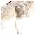 Poupée Doudou Vivienne Louis Vuitton Beige - vue 6