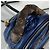 Zaino Mini Palm Springs Monogram Louis Vuitton Marrone Blu navy - vista 12
