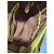 Borsa a tracolla in pelle MCM Visetos Cognac/Giallo Marrone - vista 20