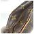 Borsa a Spalla Pochette Marceau Monogram Louis Vuitton Marrone Monogramma - vista 13