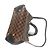 Borsa Damier Brittany di Louis Vuitton Marrone - vista 12