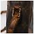 LOUIS VUITTON Borsa a Spalla Monogram Trocadero 27 M51274 LV Auth 88594 Monogramma - vista 8