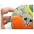 PORTE MONNAIE ROND LOUIS VUITTON PAPILLON TOILE IDYLLE MONOGRAM WALLET Vert - vue 5
