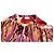 Blusa stampata trasparente multicolore Etro - vista 7