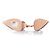 Pumps Plexi nude Gianvito Rossi Marrone Carne - vista 7