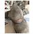 Autre Marque Fiorentini +Baker Leather Boots Dark Grey 42 - view 7