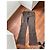 Jeans Byblos Blu a rayas de tenis naranja chocolate - vista 6