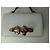 Borsa Alexander McQueen Four Ring in pelle bianca Bianco - vista 3