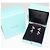 Tiffany & Co Tiffany Pt950 Diamant Papierblumen Ohrringe - Ansicht 3