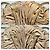 Prada Nappa-Leder 2-Wege-Handtasche Beige - Ansicht 3