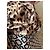 Chaqueta Dolce & Gabbana de seda marrón Castaño - vista 9