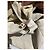 MARNI Chaquetas T.International XL Algodón Beige - vista 9
