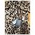 Dolce & Gabbana Vestido largo de seda con estampado de leopardo - vista 9