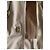 Gabardina Coach Marrón Beige Algodón Castaño - vista 4