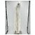 Self portrait Self-Portrait Kleid T.UK 10 Polyester Weiß - Ansicht 3