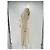 Forte Forte Forte_Forte Mäntel T.0-5 1 Viskose Beige - Ansicht 4