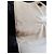 Borsa Hermès boutonnière Bianco Crema Bianco sporco Gold hardware - vista 12