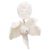 Orecchini a clip a forma di fiore in acrilico marmorizzato con cristalli argentati Lele Sadoughi Bianco - vista 3