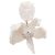 Orecchini a clip a forma di fiore in acrilico marmorizzato con cristalli argentati Lele Sadoughi Bianco - vista 4
