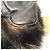 Borsa a spalla in pelliccia marrone scuro Fendi 8BT161 - vista 5