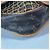 Louis Vuitton Monogram Congo MM Tasche Braun - Ansicht 7