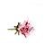 Bimba & Lola BIMBA Y LOLA Pulseiras T. Metal
