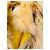 Chaleco de piel amarillo Ermanno Scervino - vista 4