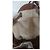 Autre Marque Borsa a secchiello Maison Kitsuné Camel in pelle e cotone Cammello - vista 12